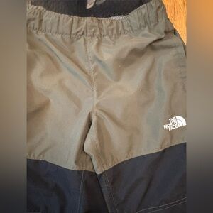 The North Face Olive and Black Shorts